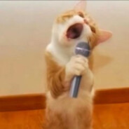 错过的电影最好看，错