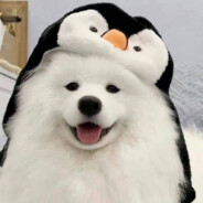 啊这啊这啊这啊这啊啊