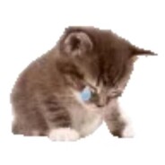 风狸打不过大岳丸