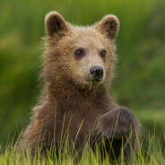 I'm just a regular guy