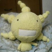 yotsubanon