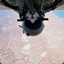 叶飞舟