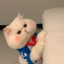 JayChou_Zzhao
