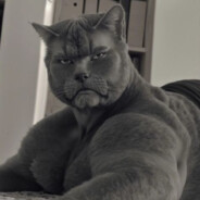 тайно дернул