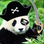 Naval Panda