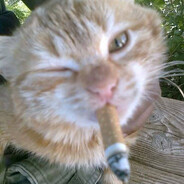 chill avatar