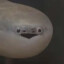 æ？！