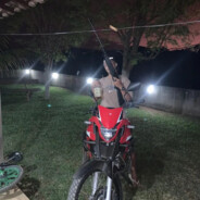 dgMONSTER
