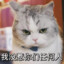 XUE XI