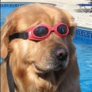 PUPPER