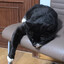 Leopoldo