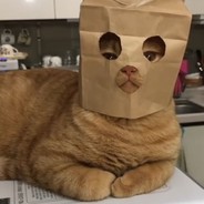 菠萝菠萝爱小面