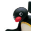 Pingu