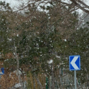 穿背带裤上山打篮球