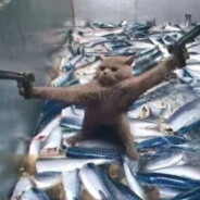 辅助不跟玩个damn