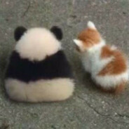 锦鲤少年刘某人