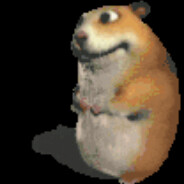 hamster