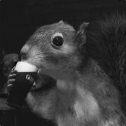 Wraith - steam id 76561197963175394