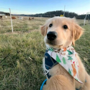 牛马青年会摆烂