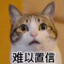 + 人质图悍警！