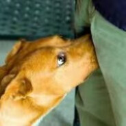 if you suck,i feel good '◡'