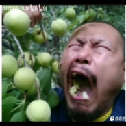 疑似有点极端了