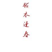 热心市民王先生。