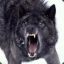 Blackwolf (Frdm920)