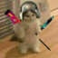 user_backup