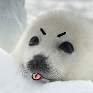 胜天半子蒲公英