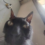 SOSAL2111#companyrus