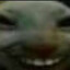 Kaypeekay