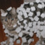 soggy cardboard
