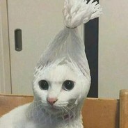 曹圭贤圈外女友