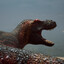 Godzilla Zsolt