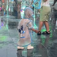 他大舅来了