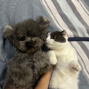 超高级校的明宁