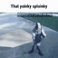 That Yoinky Sploinky