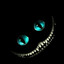 Prota-