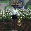 Xamba