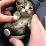 ワイズリー ~ Weisley-CF~