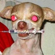 Sixer - steam id 76561197963609125