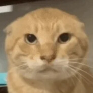 突破靠哈气 反应靠应激