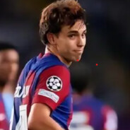 小白不会玩游戏