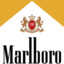 MarlboroGold