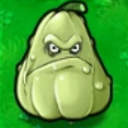 Squash