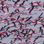 Plover228