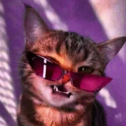 ☆(ニガー野郎)☆