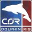 Dolphin_R19