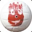 Wilson the Volleyball